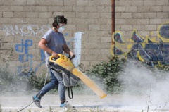 Rotofil 10 * 5760 x 3840 * (6.52MB)